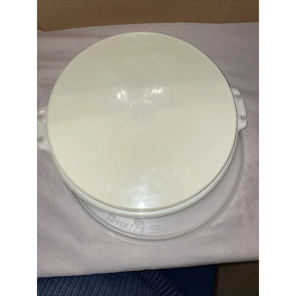 Vintage Tupperware Divided Veggie Serving Tray Translucent Seal Lid‎ 405-9 224-9